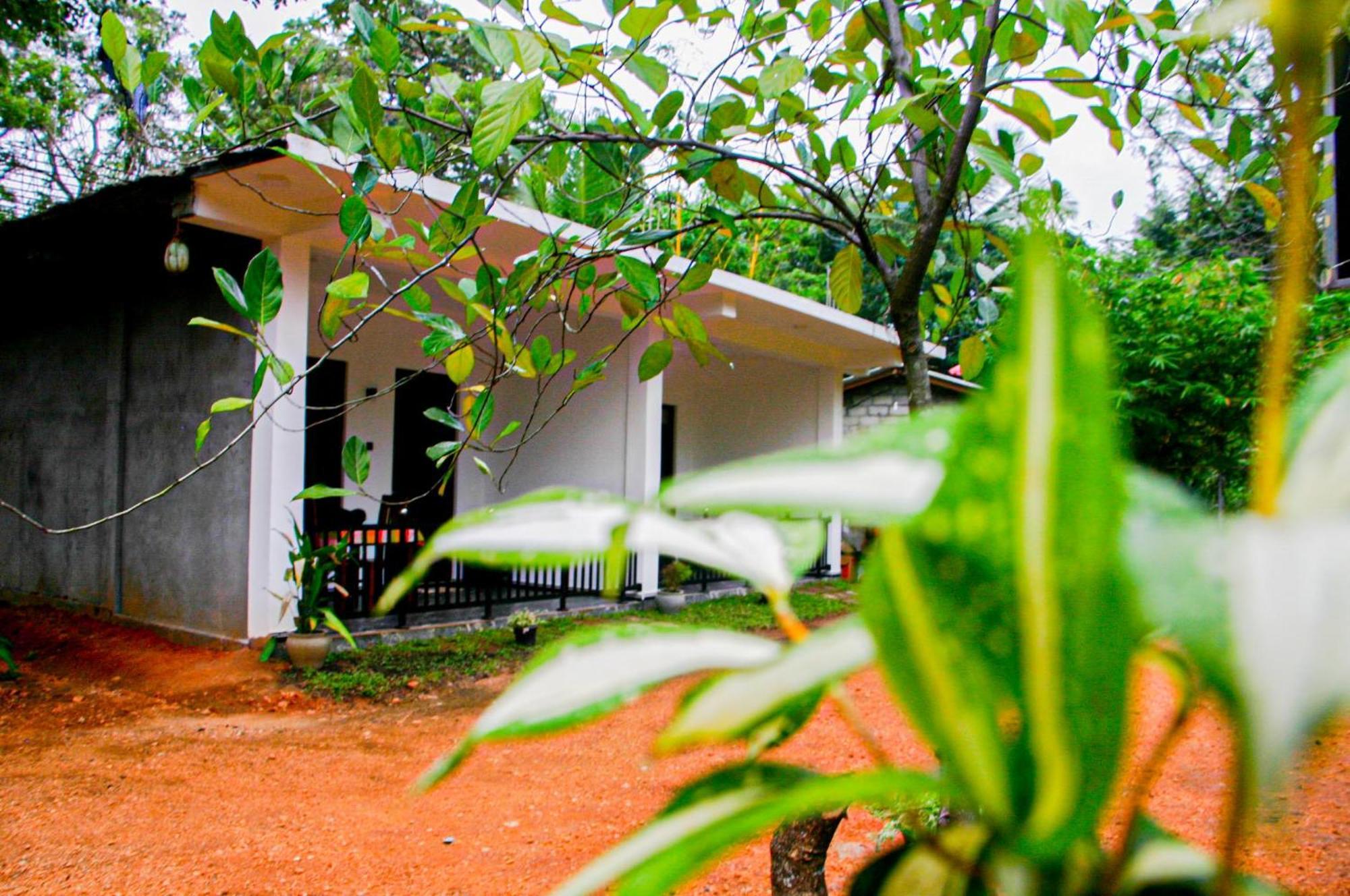 Sigiri Heaven Villa Sigiriya Eksteriør billede